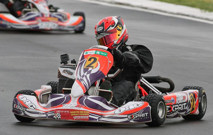 2016 Tremains KartSport NZ North Island Sprint Championships KartSport Hawke's Bay Chemz Raceway Hastings - October 23