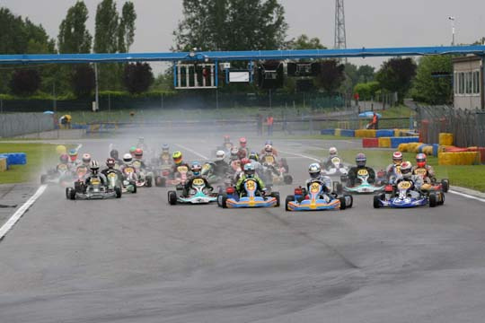 ROTAX MAX Euro Challenge: Rainy Heats at Castelletto