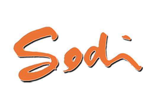 Sodi Junior Team: New Ambitions in Rotax