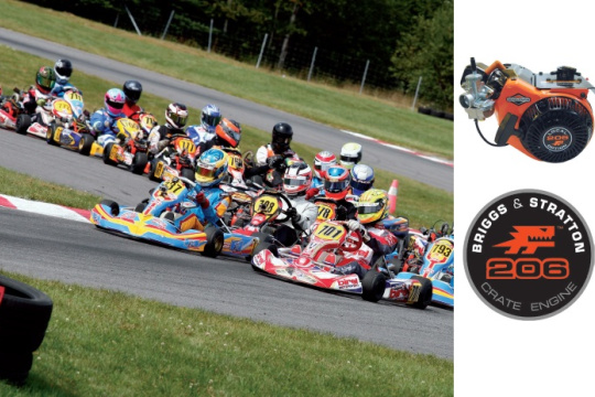 Is the Briggs 206 race engine an answer to increasing the participation in karting throughout Europe?