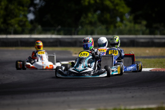 FIA Karting Euro, Sarno - Antonelli and Egozi dominate the qualifying session